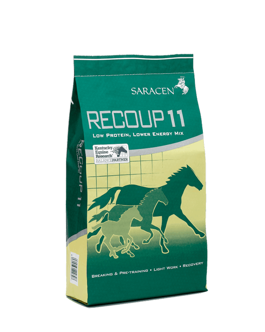 Saracen Re-Coup 11