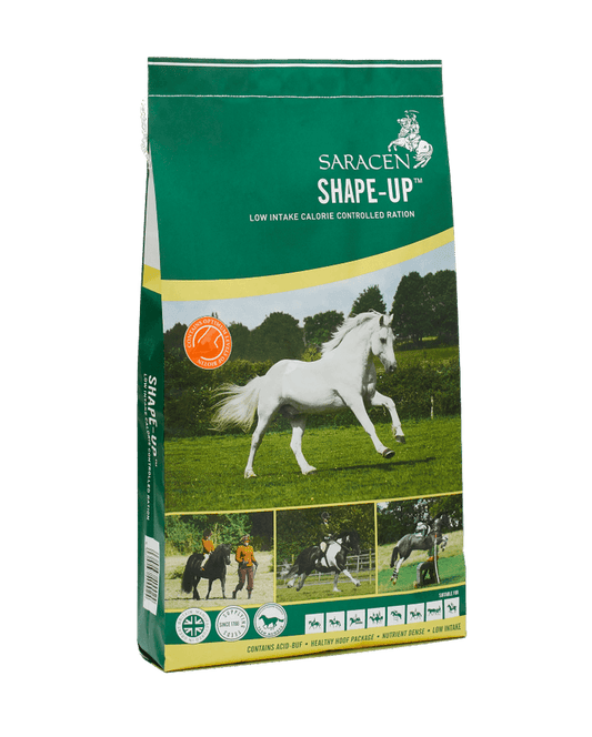 Saracen Shape-Up