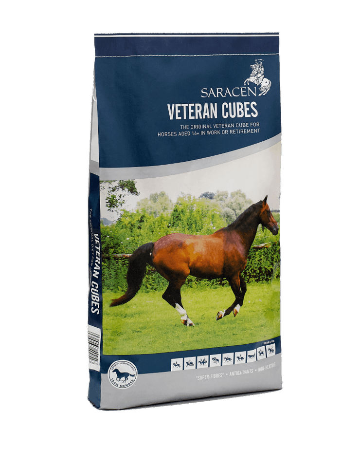 Saracen Veteran Cubes