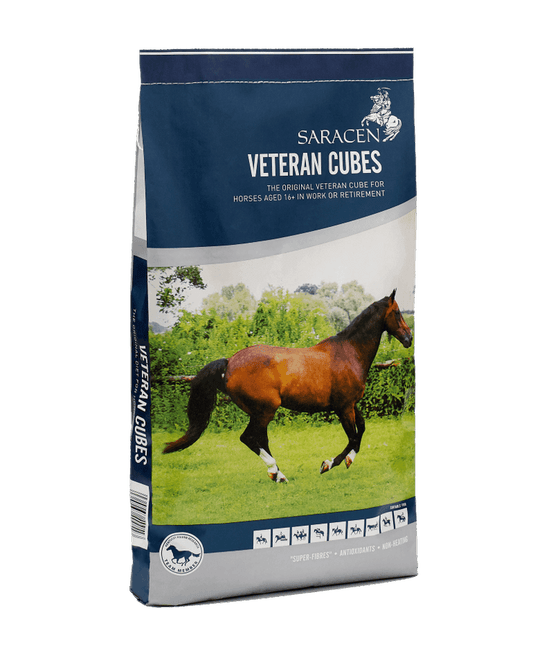Saracen Veteran Cubes
