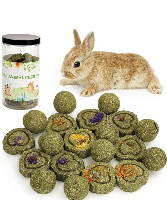 Small Animal Treat Sticks & Chews