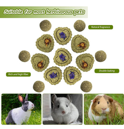 Small Animal Treat Sticks & Chews