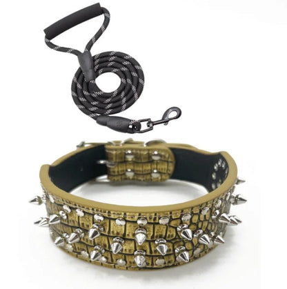 Spiked Collar & Lead Matching Set.