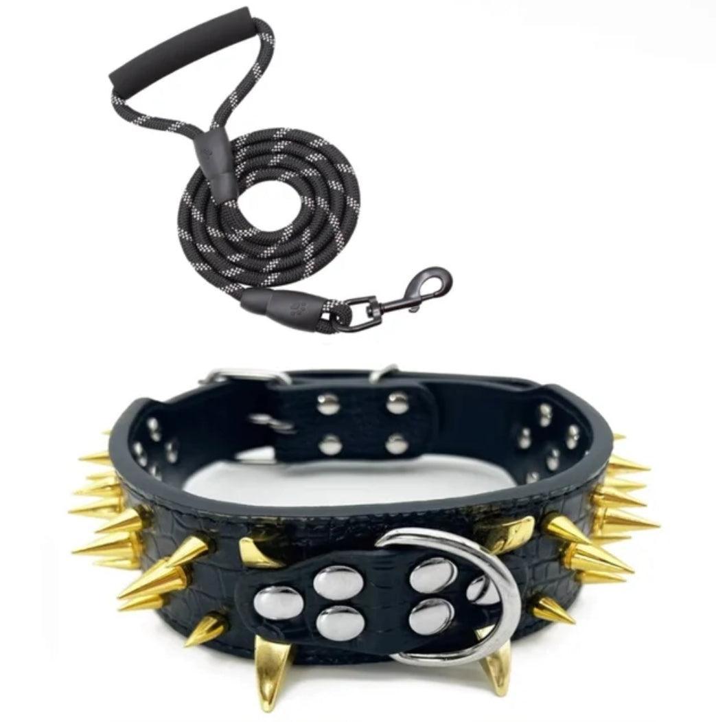 Spiked Collar & Lead Matching Set.
