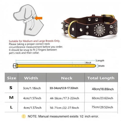 Spiked Collar & Lead Matching Set.