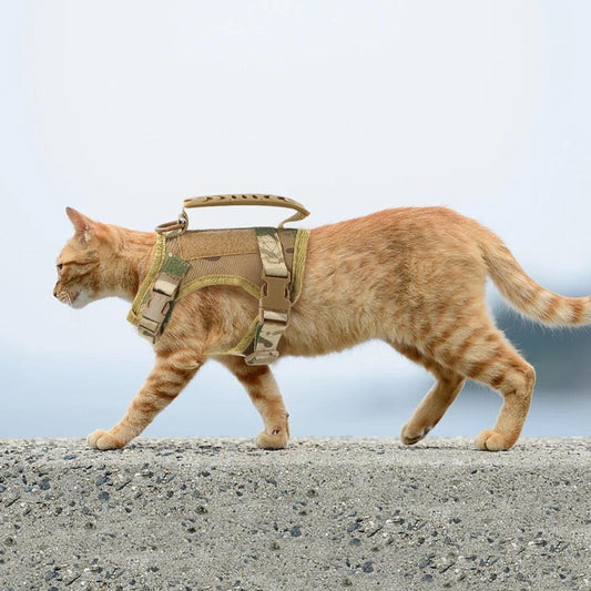 Tactical Cat Harness & Lead