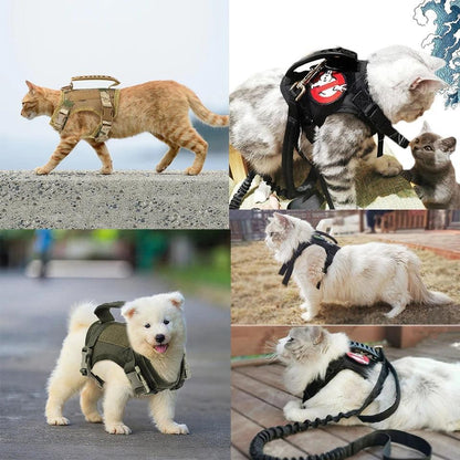 Tactical Cat Harness & Lead