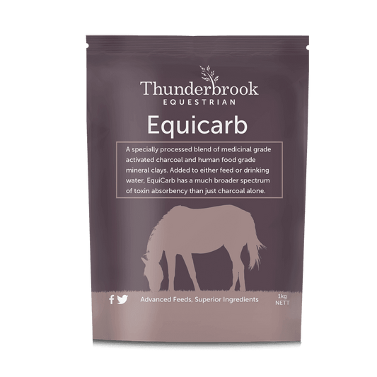 Thunderbrook Equicarb