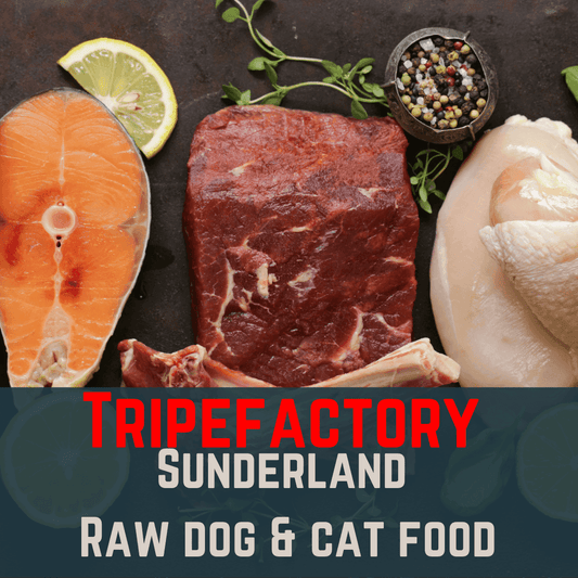 Tripefactory Sunderland - Raw Dog & Cat Food - 1lb & 20lb