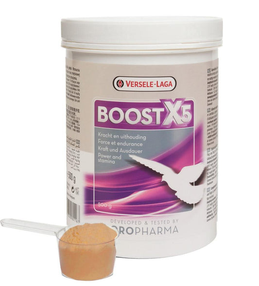 Versele Laga Boost X5 500g