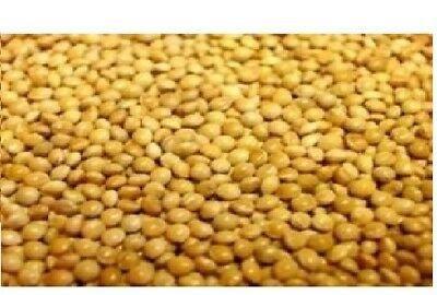 Versele Laga French Yellow Millet