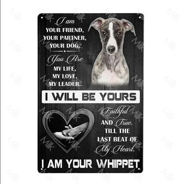 Whippet Dog Tin Sign