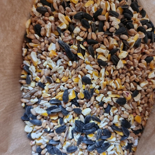 Wild Bird Food Mix - 2kg