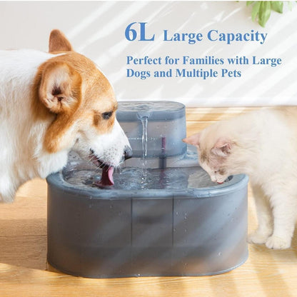 XL Cat & Dog Water Fountain 6L